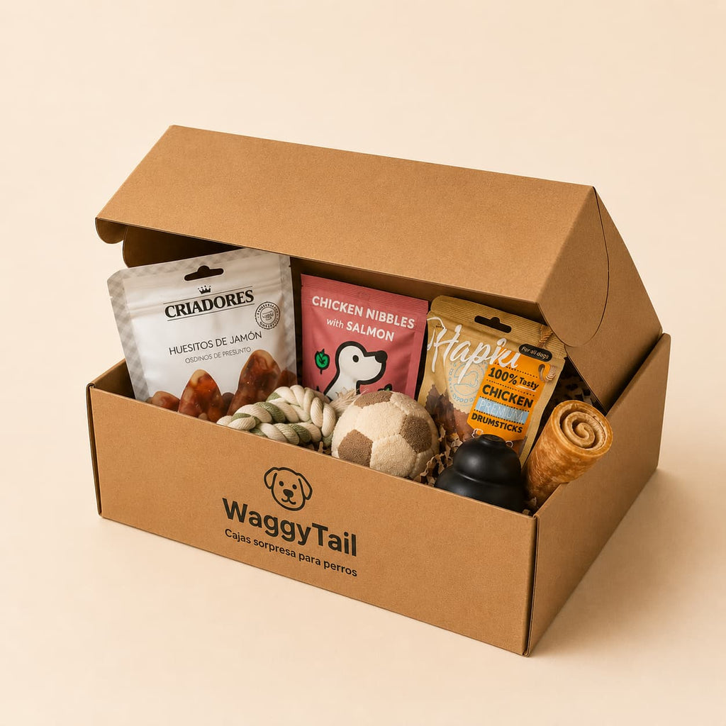 Caja Sorpresa para Perros Pequeños